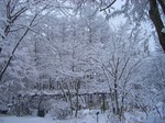 雪化粧