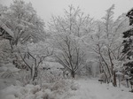 大雪